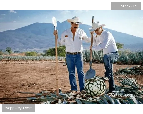 从冷门到热门！墨西哥美洲俱乐部在中国市场的成功营销策略与启示